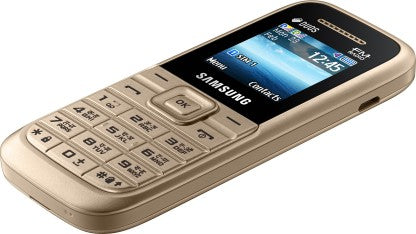 SAMSUNG Guru FM Plus  (Gold)
