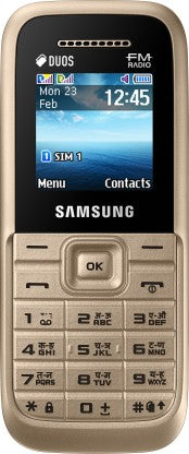 SAMSUNG Guru FM Plus  (Gold)